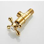 Gold faucet dual handle control detail view