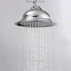 Chrome shower head detailed product view main view