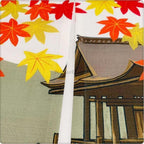 Modern Fabric doorway curtain room divider design detail view