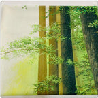 Green Fabric doorway curtain room divider design detail view