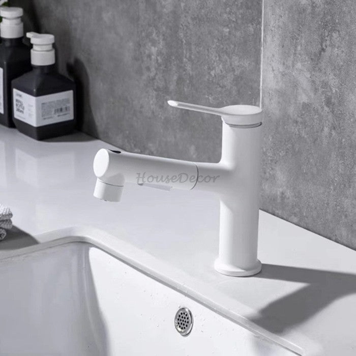 Modern kitchen sink mixer tap pull out spray detail view