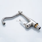 Modern kitchen sink mixer tap swivel spout detail view