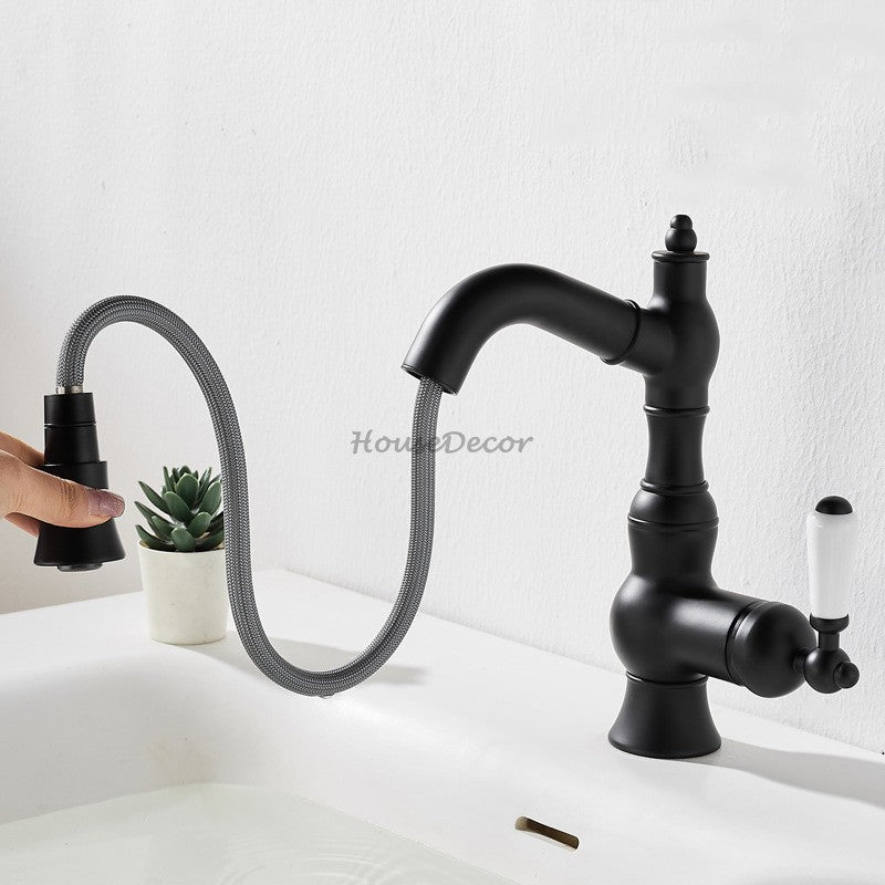 Modern Brass bathroom basin mixer tap pull out spray detail view