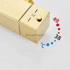Modern shower head thermostatic control additional view
