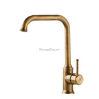 Modern kitchen sink mixer tap swivel spout detail view