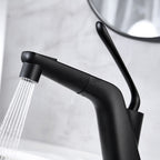 Modern bath shower mixer tap pull out spray additional view