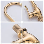 Gold Brass kitchen sink mixer tap swivel spout detail view