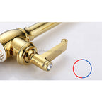 Gold kitchen sink mixer tap swivel spout detail view