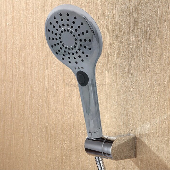 Chrome shower head handheld shower set main view