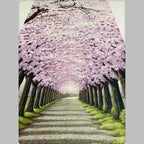 Modern Fabric doorway curtain room divider design detail view