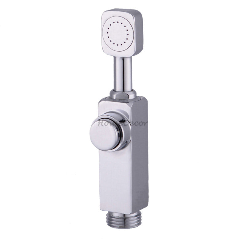 Chrome shower head swivel spout main view