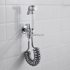 Chrome home product handheld shower set main view