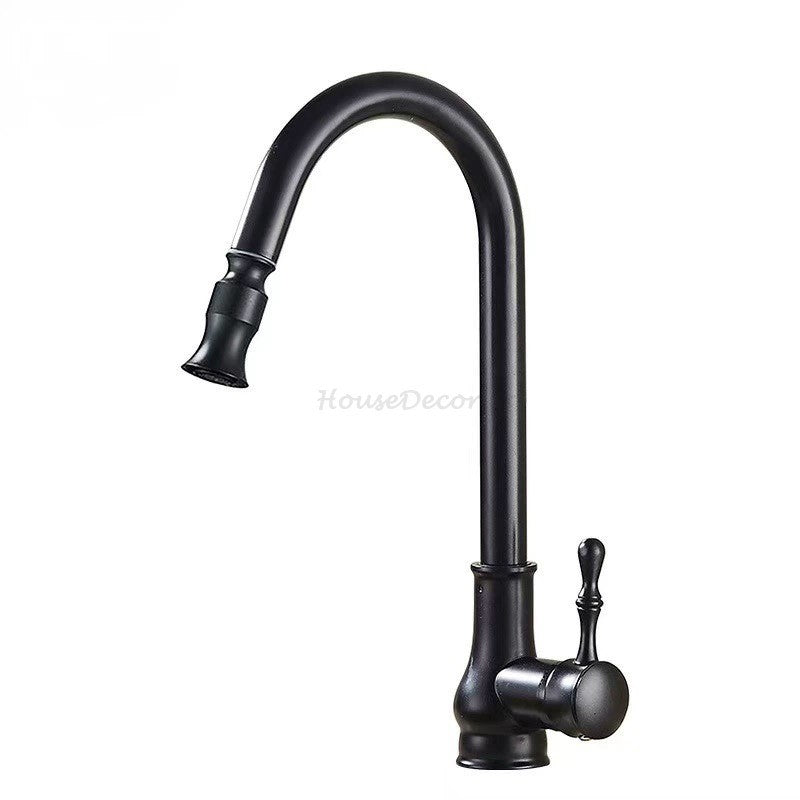 Modern kitchen sink mixer tap pull out spray detail view