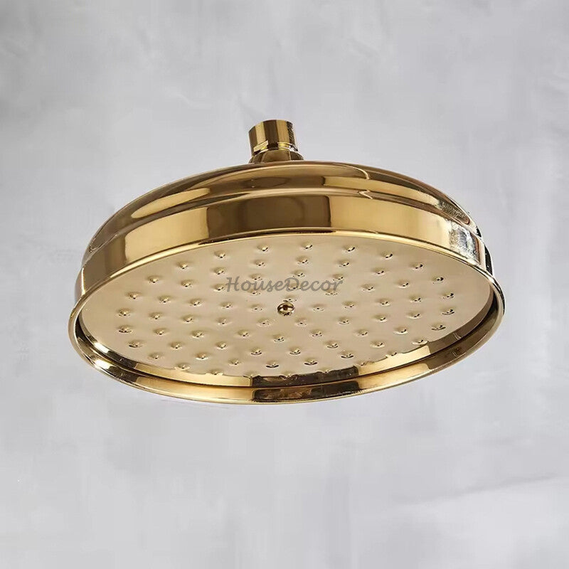 Antique Brass shower head detailed product view detail view