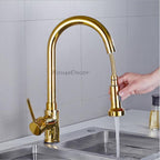 Gold kitchen sink mixer tap pull out spray main view