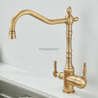 Modern kitchen sink mixer tap swivel spout detail view