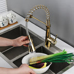Gold kitchen sink mixer tap swivel spout detail view