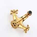 Gold bath shower mixer tap dual handle control detail view