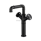 Modern bath shower mixer tap dual handle control detail view