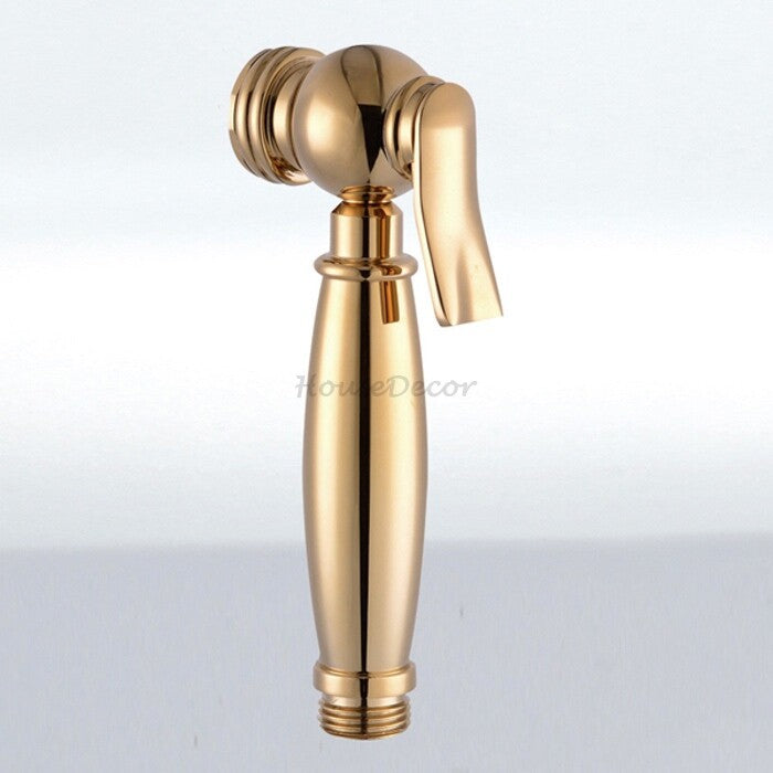 Polished Brass shower head handheld shower set detail view