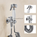 Chrome home product handheld shower set detail view