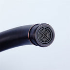 Modern kitchen sink mixer tap swivel spout detail view