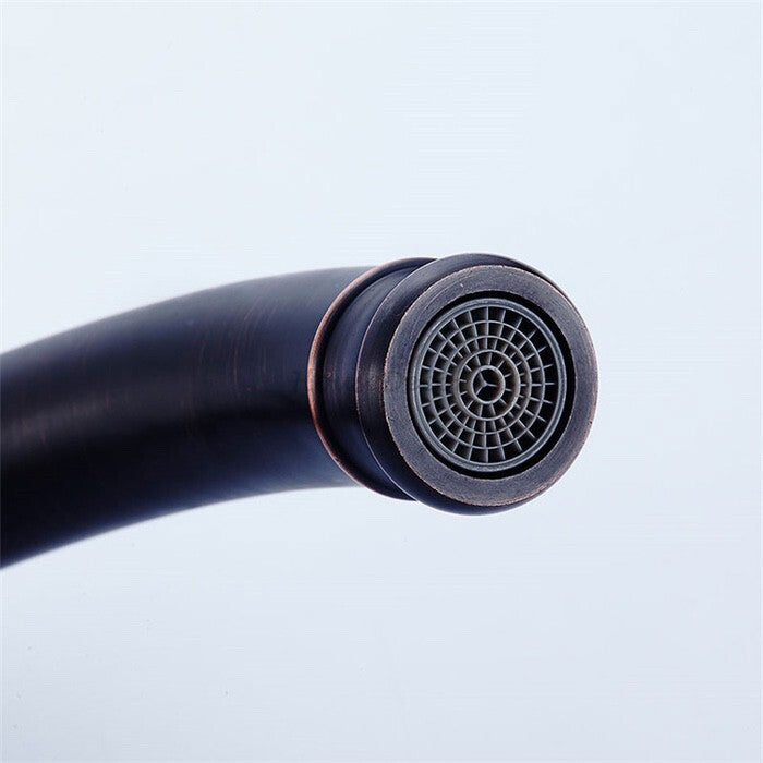 Modern kitchen sink mixer tap swivel spout detail view