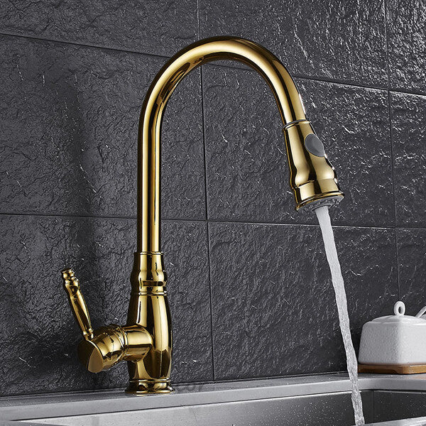 Gold kitchen sink mixer tap pull out spray detail view