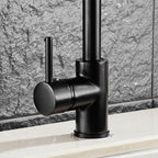 Black Brass kitchen sink mixer tap swivel spout detail view