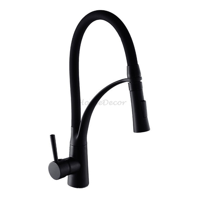 Black Brass kitchen sink mixer tap swivel spout main view