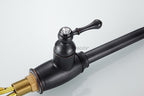 Black Brass kitchen sink mixer tap pull out spray detail view