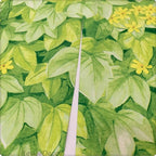 Green Fabric doorway curtain detailed product view detail view