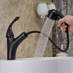 Black faucet pull out spray detail view
