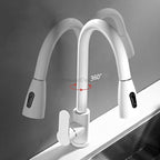 White bath shower mixer tap pull out spray detail view