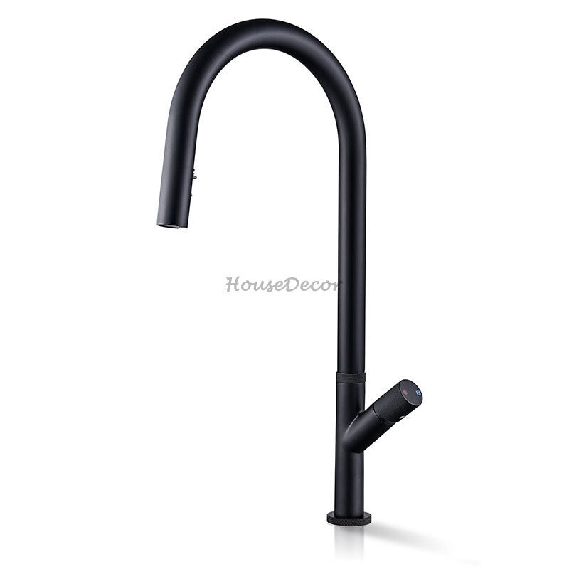 Modern kitchen sink mixer tap pull out spray detail view