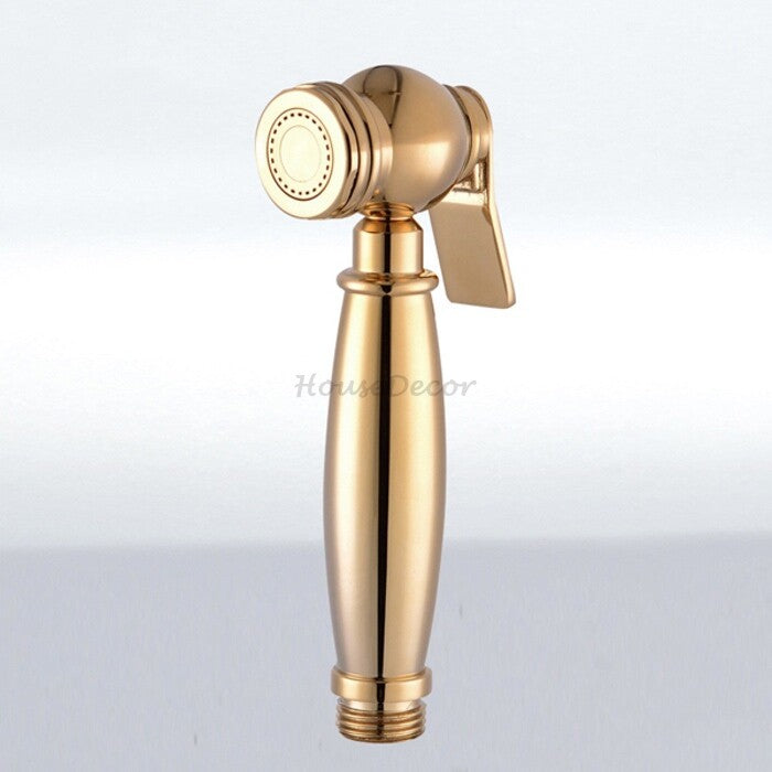 Polished Brass shower head handheld shower set main view