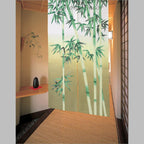 Green Fabric doorway curtain room divider design main view