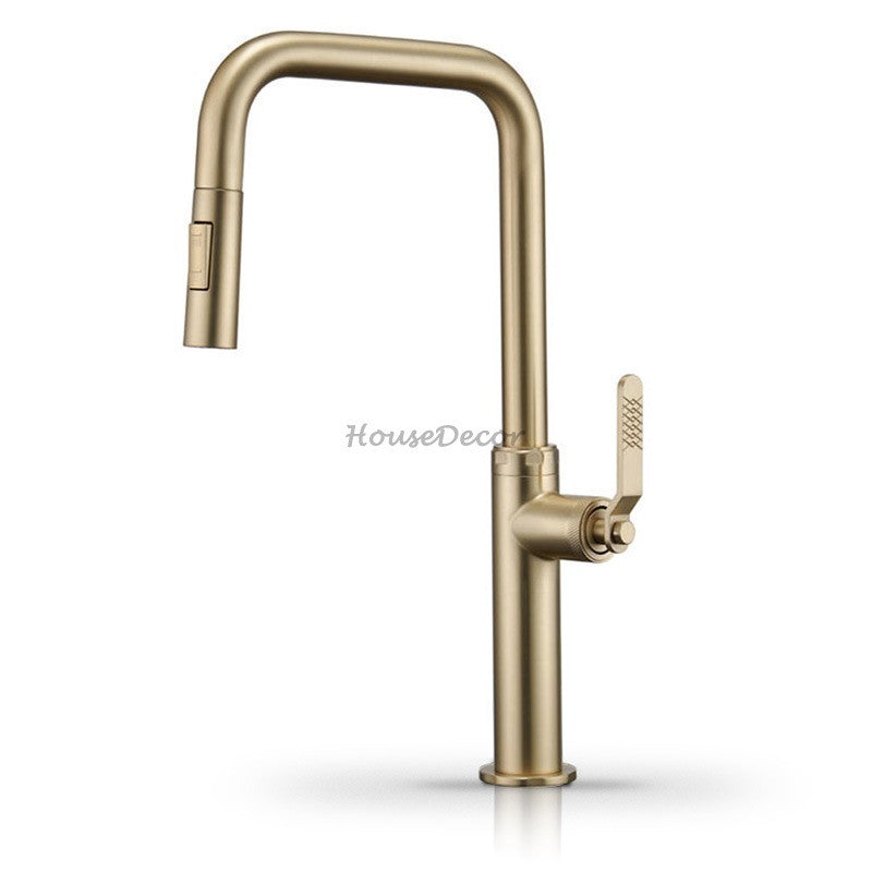 Modern kitchen sink mixer tap pull out spray detail view