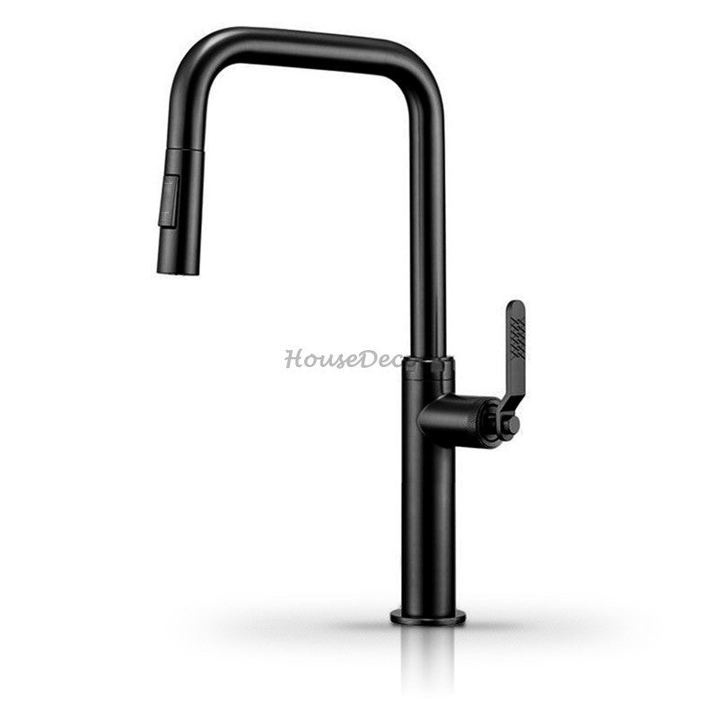Modern kitchen sink mixer tap pull out spray detail view