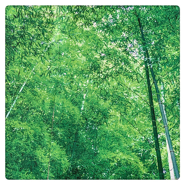 Green Fabric doorway curtain room divider design detail view