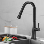 Matte Black kitchen sink mixer tap pull out spray detail view