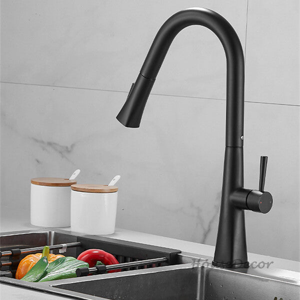 Matte Black kitchen sink mixer tap pull out spray detail view