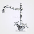 Modern kitchen sink mixer tap dual handle control main view