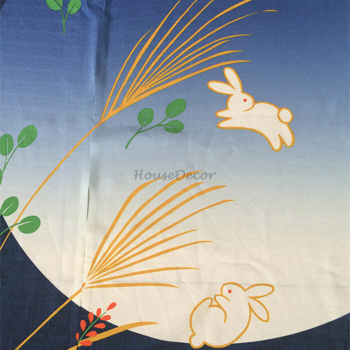 Blue Fabric doorway curtain room divider design detail view