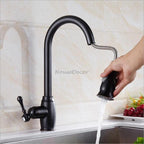 Black Brass kitchen sink mixer tap pull out spray main view