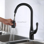 Modern kitchen sink mixer tap pull out spray detail view