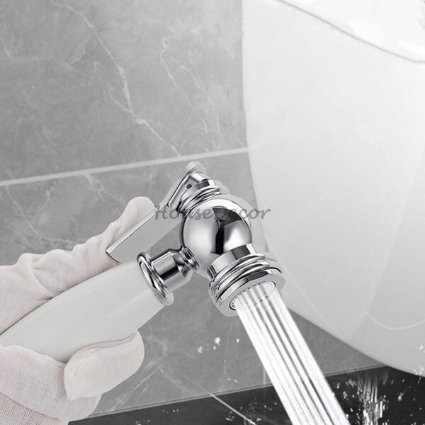 Chrome home product handheld shower set detail view