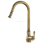Modern kitchen sink mixer tap pull out spray detail view