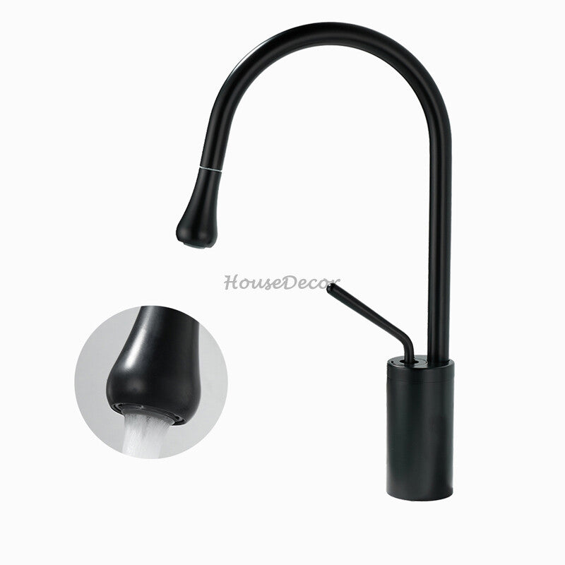 Modern bath shower mixer tap pull out spray detail view