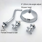 Modern shower head dual handle control detail view